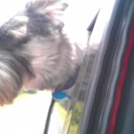 IMAG0590
