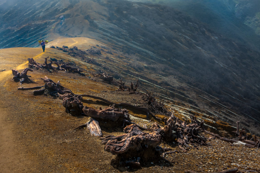 Sulfur miner, Kawah Ijen Volcano