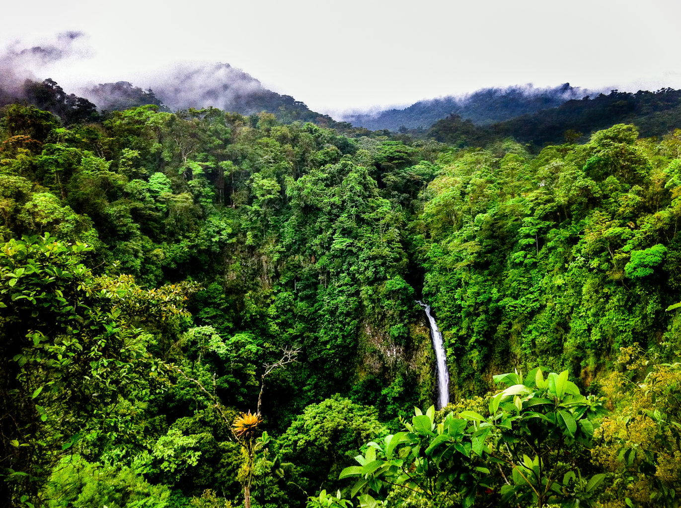 (somewhere in Costa Rica)